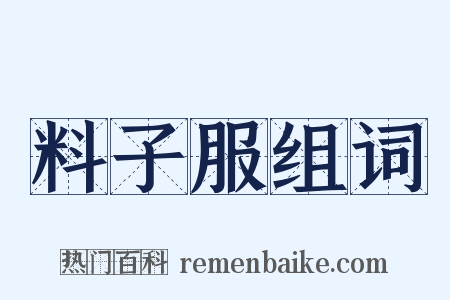 料子服组词是什么意思的图片